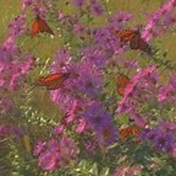 Meet your Posher, Jaylie - Picture 1 of 1